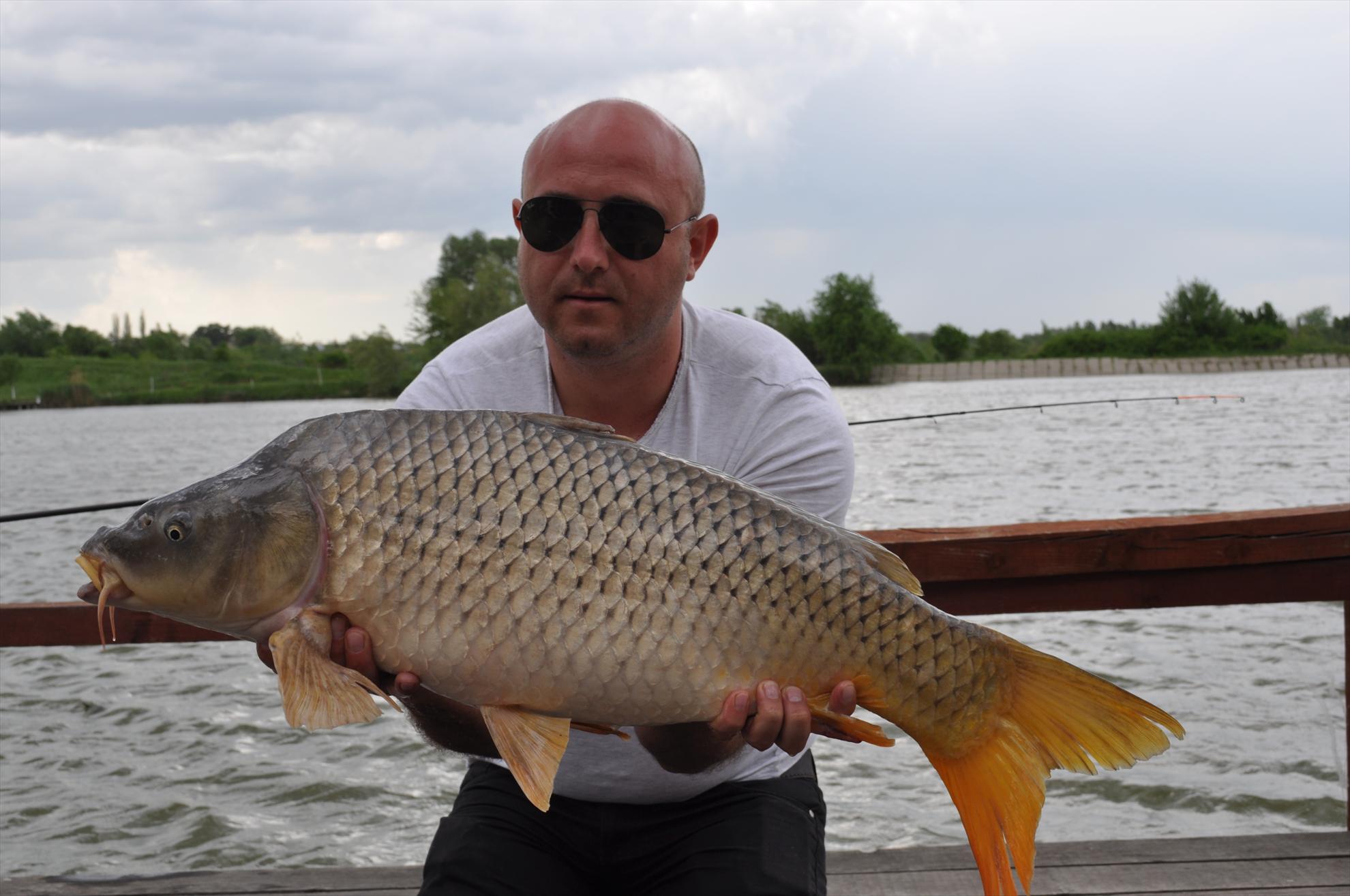 Teslui - dsc0389.JPG